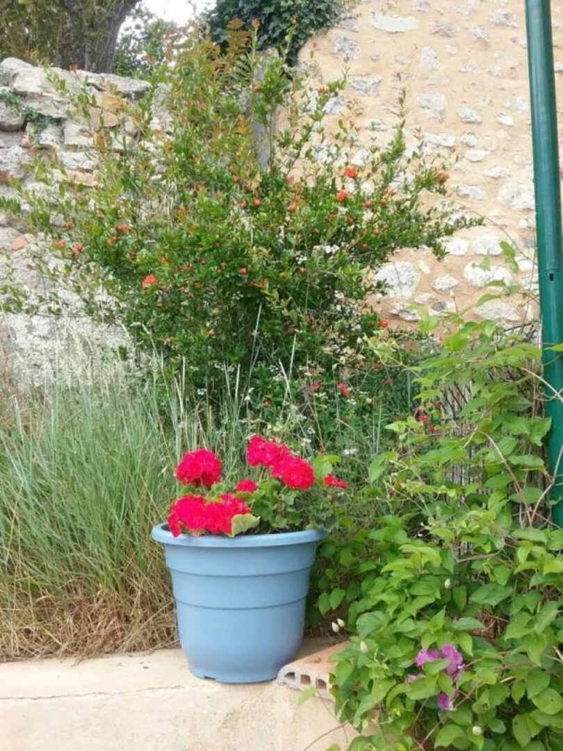 Cecile Villa Montgaillard  Luaran gambar